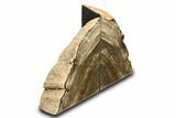 Polished Petrified Wood Bookends - Washington #307189-1